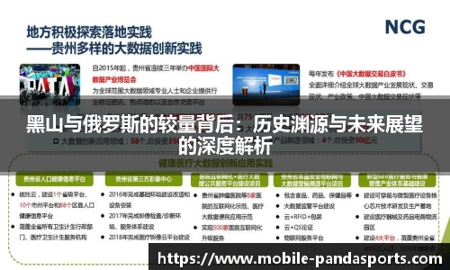 黑山与俄罗斯的较量背后：历史渊源与未来展望的深度解析